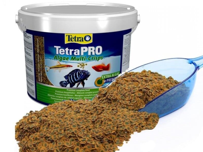 В TetraPRO Algae Multi-Crisps есть растительный компонент, который укрепит иммунную систему барбуса