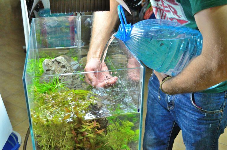 можно ли водопроводную воду в аквариум. Смотреть фото можно ли водопроводную воду в аквариум. Смотреть картинку можно ли водопроводную воду в аквариум. Картинка про можно ли водопроводную воду в аквариум. Фото можно ли водопроводную воду в аквариум