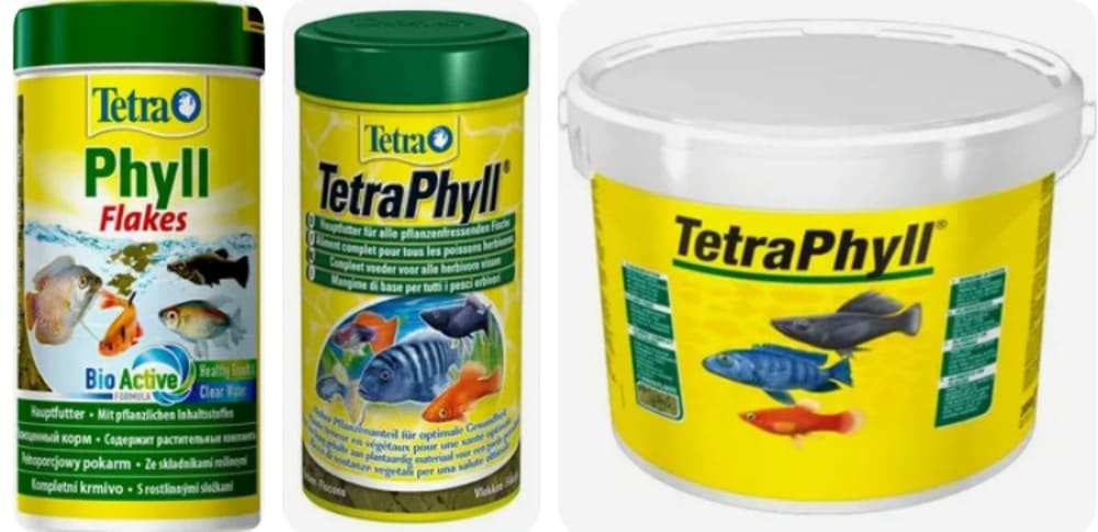В аквариум необходимо добавлять корм с водорослью спирулина типа Tetra Phyll