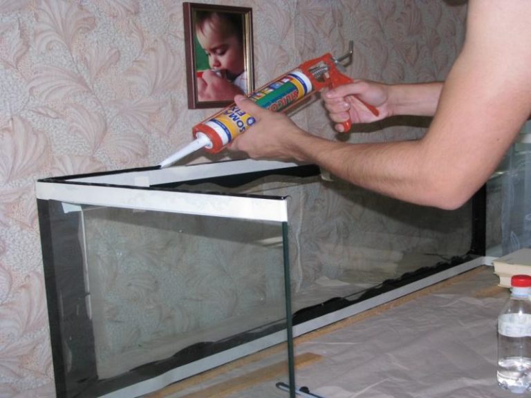 можно ли кокос ставить в аквариум