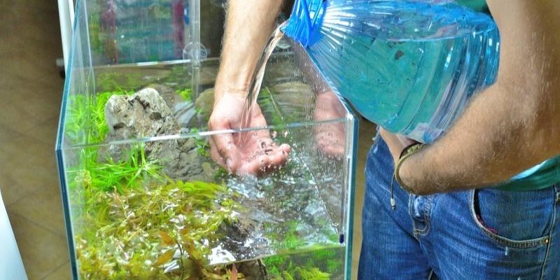 вода в аквариуме