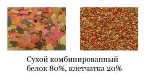 Комбинированный корм