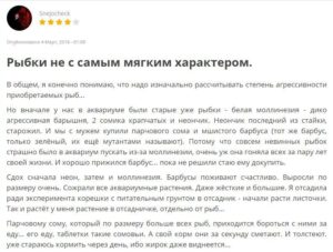 Отзыв на аквариумную рыбку Барбус