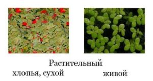 Растительный корм