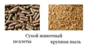 Сухой корм