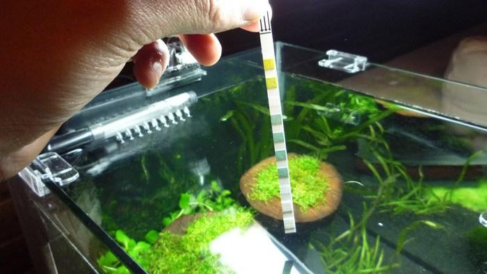Кислотность рН - важнейший показатель состава водной среды