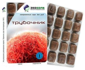 Самым любимым лакомством этого вида является трубочник