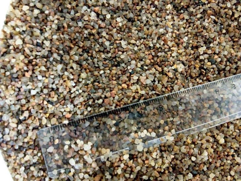 Гигрофила легко укореняется в песке