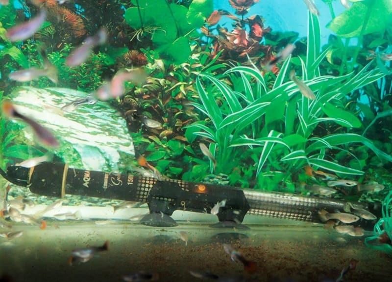 Лучше оснастить аквариум водонагревателем с терморегулятором