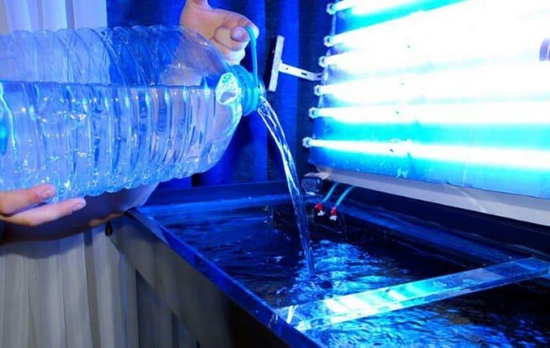 Долив свежей воды по мере испарения – 1 раз в 3-5 дней