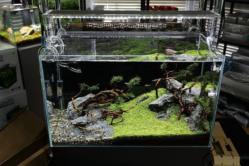 ADA AQUASKY 602 – японские светодиодные светильники