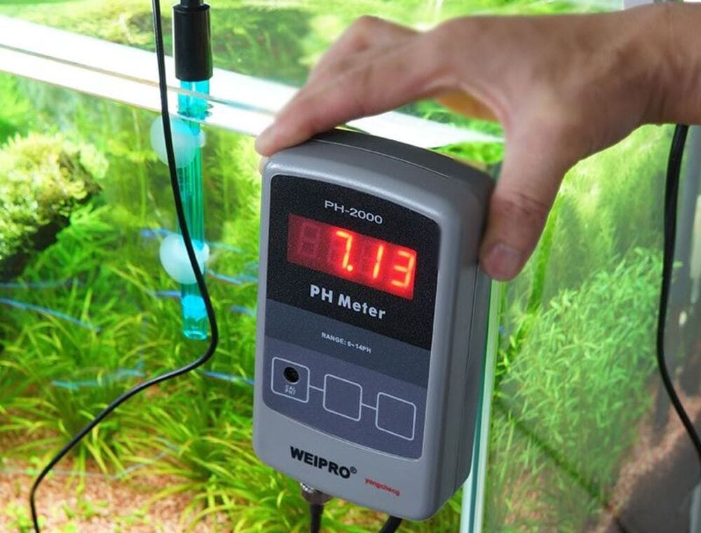 Кислотность воды в аквариуме должна быть от 7,2 до 8,5 pH