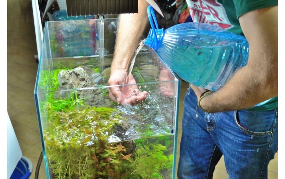 Раз в неделю 25% воды необходимо заменять